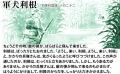 戦時中この教科書で学んだ世代に人気の『復刻版 初等