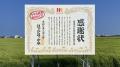 【8月8日 お米の日】ほっかほっか亭から日本のお米農