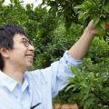 【日本茶AWARD2024最高賞受賞】Botanytea（ボタニティ