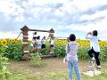 山形・月山高原に30万本のひまわり畑が8月9日オープン