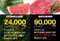 【限定コラボ】VITAS の「シトルリン＋アルギニン」に