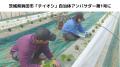 茨城県鉾田市が「チイオシ」自治体アンバサダー第1号