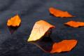 栗と秋の味覚アフタヌーンティー「紅葉」- 削りたてト