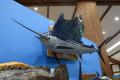魚魚展開催中！【国営アルプスあづみの公園　堀金・穂
