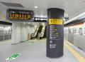 日本初。道路（市道）への高輝度蓄光塗装による津波避