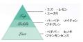 ～肌と心の美しい循環へ～自分を慈しむ、リチュアルと