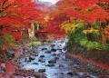 【秋の風情】日本の美しい紅葉景色を楽しめるジグソー