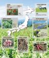 ワタミファーム、「大阪・関西万博」にて環境配慮型農