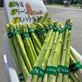 【ホテルメトロポリタン 川崎】北海道の旬を川崎へ「