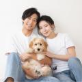 国内ポルシェディーラー初の愛犬と楽しむフェス型イベ