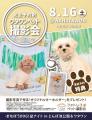 ＼8/15・16開催！／夏の夜を愛犬と満喫！【まなぼうDO