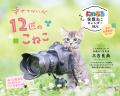 保護ねこ写真家三吉良典さんによる「にゃっぷる」カレ