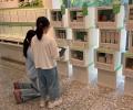 容器文化ミュージアム（東京都品川区）2025年8月7日（