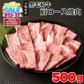 【SUMMER SALE開始】お盆期間中だけ！数量限定・早い