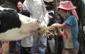 【夏休み特別企画】　小学生親子が体験「びん牛乳の今