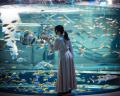 AQUARIUM×ART atoa　×　神戸六甲ミーツ・アート2025 b