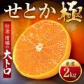 【さとふるニュースレター】＜四国版＞2025年上半期ふ