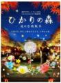 六甲高山植物園 絶滅が危惧される貴重な花 「ヒゴタイ