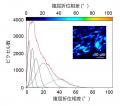 【埼玉医科大学・宇都宮大学】「影のない画像」utf-8