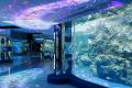 【サステナブルな支援の輪】のとじま水族館 × ANAクラ