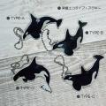 「サメフィーバー」仕掛け人による新プロジェクト！全
