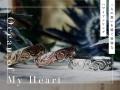 「日常に馴染む、けれど特別」な一本を。人気のリング