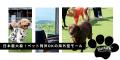 【8/23・24限定】家族も友達も大興奮！夏の夜に2時間