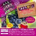 収穫して24時間以内に搾汁した、ジューシーなぶどう果