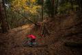 時空を超えるライド！市川三郷町「市川公園MTBフィー