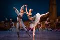 Daiwa House PRESENTS熊川哲也 K-BALLET TOKYO Autf-8