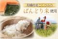 富山県舟橋村がVtuber「朝召サーモン」とコラボ！富山