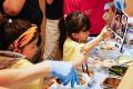 【動画あり】三田製麺所のおしごと体験イベント 『こ