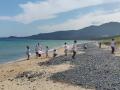 豊かな地元の海を守るための体験学習プログラム【海と