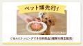 福岡発ペットフードブランド「コノコトトモニ」が地元