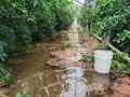 食べチョクが令和7年8月の大雨による被災生産者向け支