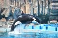 名古屋港水族館の法人サポーターに登録