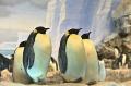 名古屋港水族館の法人サポーターに登録