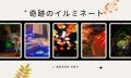 【北海道／層雲峡】夜は紅葉が灯りに染まる――日本一早
