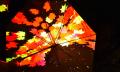 【北海道／層雲峡】夜は紅葉が灯りに染まる――日本一早
