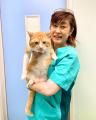 獣医師による保護猫・保護犬の保護・譲渡活動に補助金
