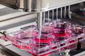 がん患者の「希望の光」の研究者を支える医療研究機器