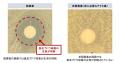 資生堂、菌叢研究を通じて敏感肌には表皮ブドウ球菌の