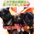 山口県のNPO法人「Grandir(グランディール)」がutf-8