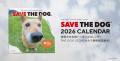 保護犬たちの笑顔が集まる『SAVE THE DOG 2026カレン