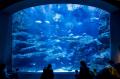 【オリックス水族館】展示・繁殖分野の協力で国utf-8