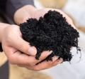 花き生産の脱炭素化を目指し、TOWINGと日比谷花壇が業
