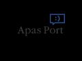Apas Port、Pudgy Penguins公式イベント『;SOLID』に