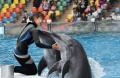 脳活性総合研究所、アドベンチャーワールドに「AI笑顔