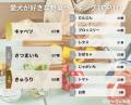 【飼い主389人に調査】犬が好きな野菜No.1は断トツ●●