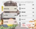 【飼い主389人に調査】犬が好きな野菜No.1は断トツ●●